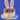 Bunny Cake
